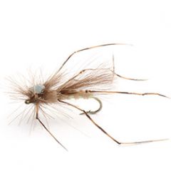 Cdc Daddy Longlegs Str 12