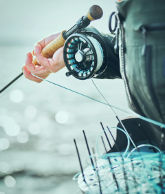 Guideline Coastal Classic WF #7  F/SI (Nyhet)