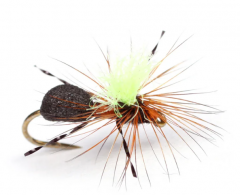 High-Viz Rufa Ant #14