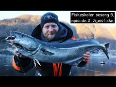 Fiskeskolen s5e2 Sjøisfiske m/handleliste m/handleliste