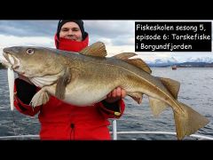 Fiskeskolen s5e6 Torskefiske m/handleliste