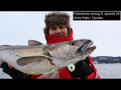 Fiskeskolen s5e14 Vinterfiske i Fjorden