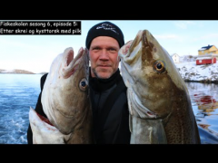 Fiskeskolen s6e5 Skrei og kysttorsk med pilk