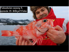 Fiskeskolen s5e15 Blåkjeftfiske